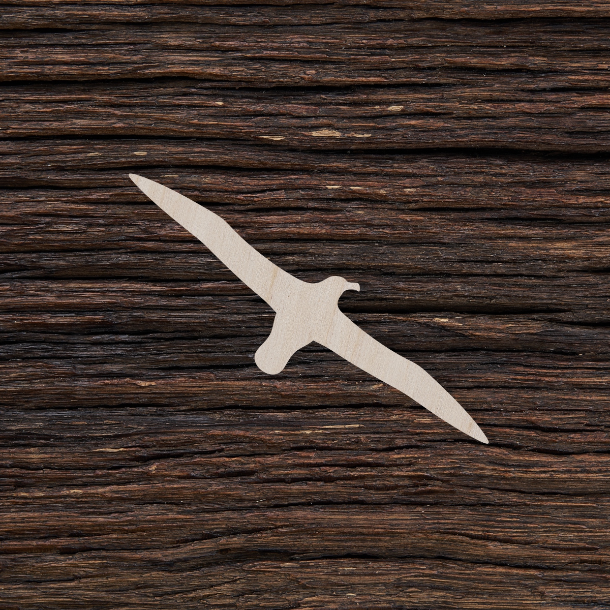 Albatrosas - medinis gaminys, pjautas lazeriu - dekoravimui ir dažymui 