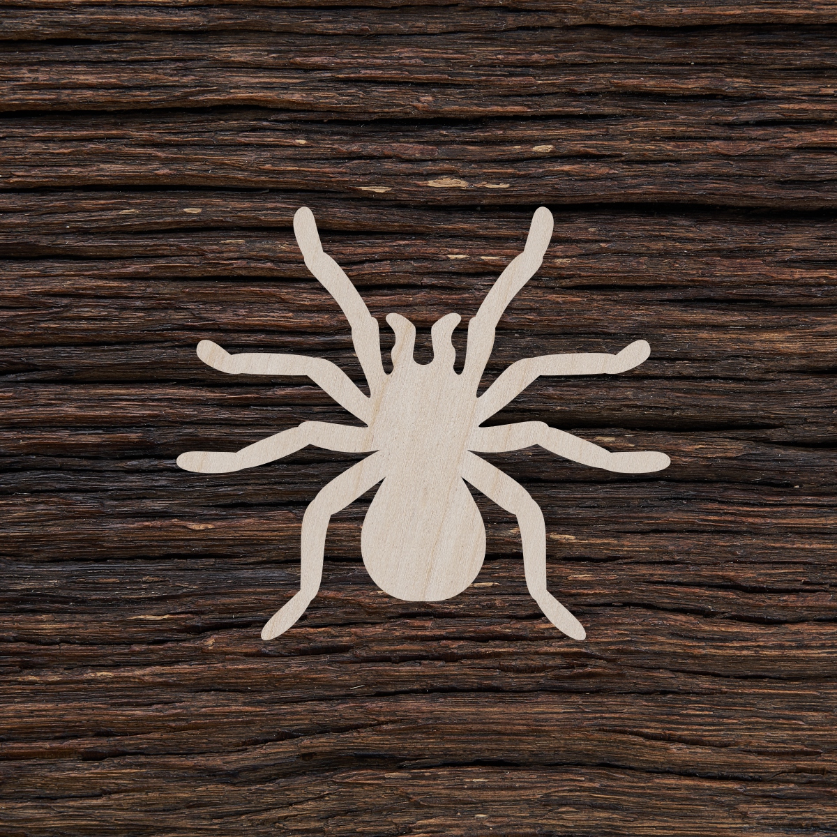 Voras tarantulas - medinis gaminys, pjautas lazeriu - dekoravimui ir dažymui 