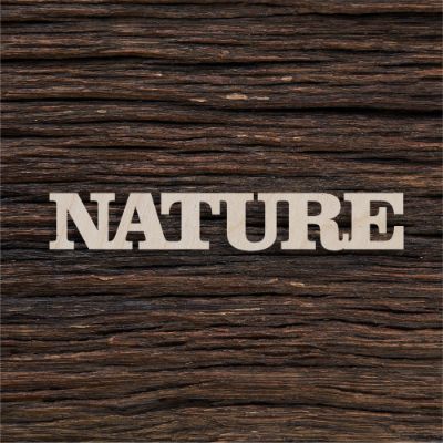 Nature - medinis gaminys, pjautas lazeriu - dekoravimui ir dažymui