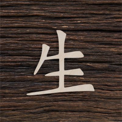 Japoniškas simbolis gyvenimas - medinis gaminys, pjautas lazeriu - dekoravimui ir dažymui